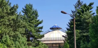 Ботанічний сад ДНУ ім. О.Гончара запрошує на “Сонячний вечір”