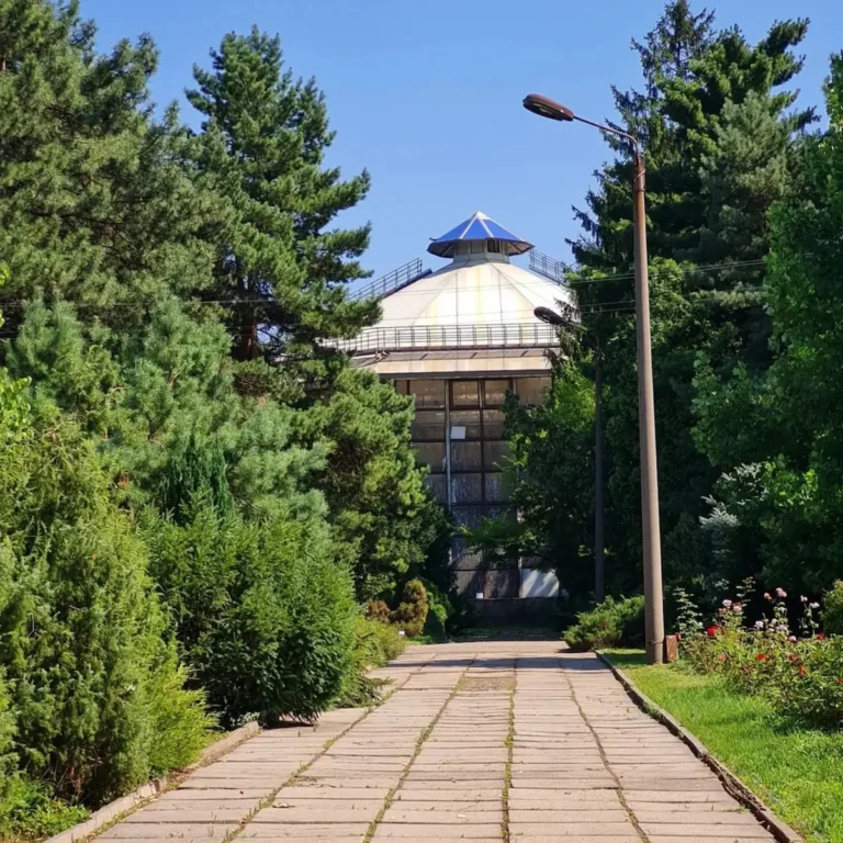 Ботанічний сад ДНУ ім. О.Гончара запрошує на “Сонячний вечір”