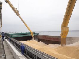 Ціна на пшеницю зросла до трирічного максимуму через загрози у Чорному морі