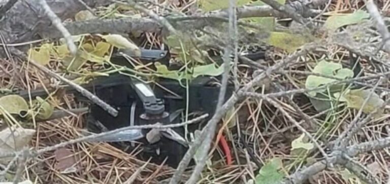 У Дніпропетровській області грибники натрапили на дрон у лісі