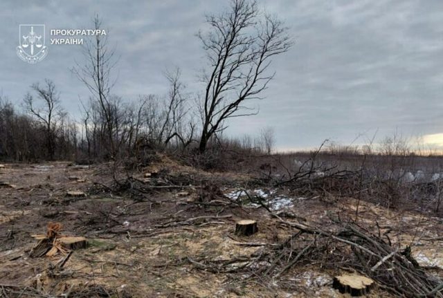 На Дніпропетровщині розслідують знищення лісозахисних смуг