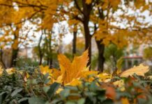 В Україну йде похолодання