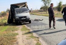 Під Нікополем ворожий FPV-дрон атакував авто: водій загинув